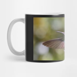 Green Violetear Hummingbird Mug